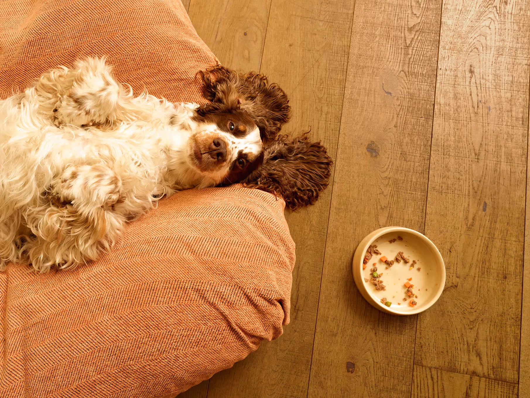 Monthly Wellness Box